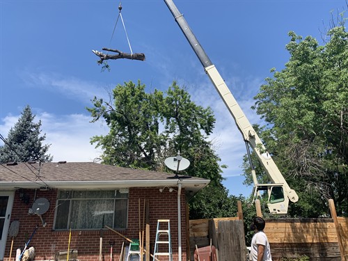 Crane Removal