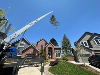 Crane Removal from the Highlands Ranch tornado.