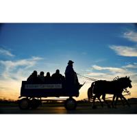 Carriage Ride through Celebration of Lights