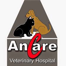 Ancare Veterinary Hospital