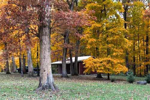Experience peak autumn colors at Kishauwau Cabins near Starved Rock.