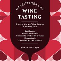 Galentine's Day Wine Tasting at VIN312
