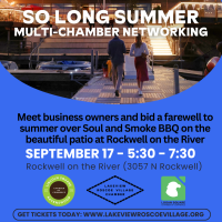 So Long Summer - Multi Chamber Networking