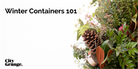 Winter Containers 101