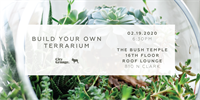 Build Your Own Terrarium