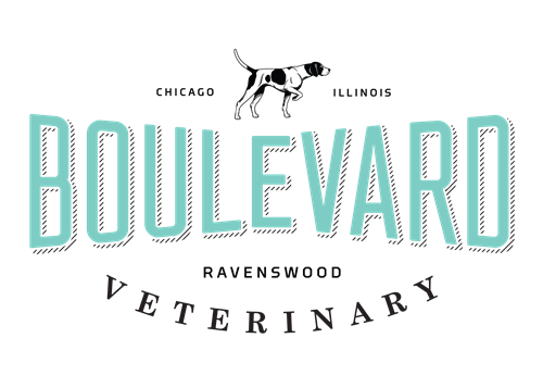 Boulevard Veterinary Ravenswood | Veterinarians - Lincoln Square Ravenswood  Chamber of Commerce, IL