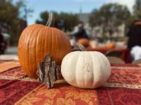 Chicago Waldorf School Early Childhood Harvest Festival