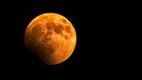 Chakra Talk & New Moon Activation