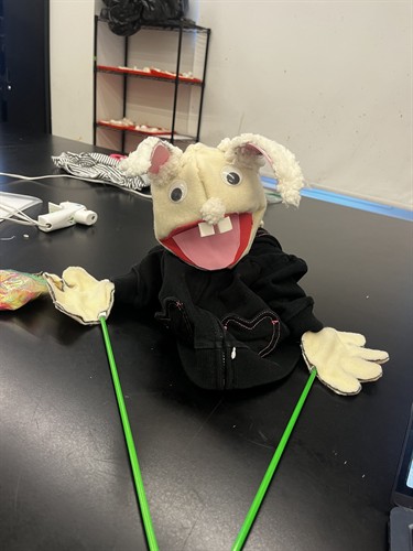 So many great puppets
