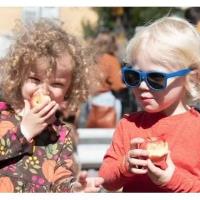 38th annual Apple Fest returns to Northwest Side with expanded dates