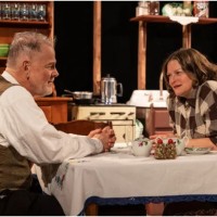 Review: Gwendolyn Whiteside is superb in ‘Come Back, Little Sheba’ at American Blues