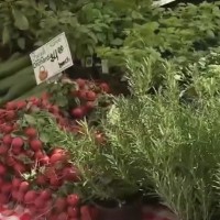 Lincoln Square Farmers Market returns with fresh local food, summer favorites