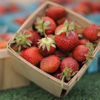 Here’s your 2026 guide to farmers markets throughout Chicago