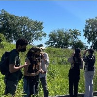 https://blockclubchicago.org/2026/06/30/20-things-to-do-outside-in-chicago-this-july-2/