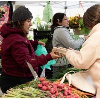 As Thousands Lose SNAP Benefits, Midwest Vendors and Farmers Markets Brace for a Hit in Sales