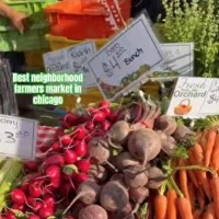  Lincoln Square Farmers Market Chicago | Best Local Produce & Vendors 2026