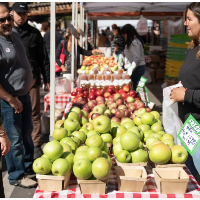 Lincoln Square Apple Fest