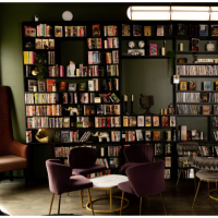 Chicago’s Video Rental Renaissance