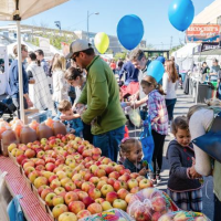 Hello, autumn! The ultimate guide to fall festivals, pumpkin patches & corn mazes in Chicago
