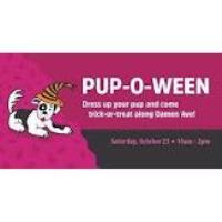 Dress up your furbaby for Lincoln Square’s Pup-o-Ween 