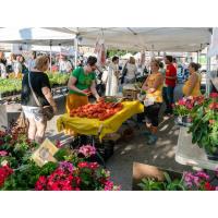 The 17 best farmers markets in Chicago