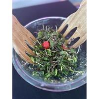 Thanksgiving Greens From Local Leaf Farm