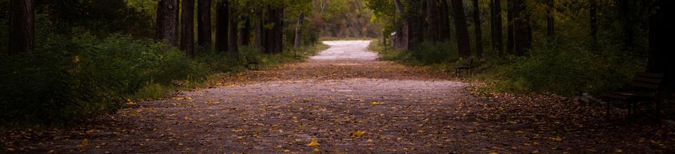New Path Productivity®, LLC New Path Productivity®, LLC