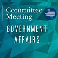 Government Affairs Committee