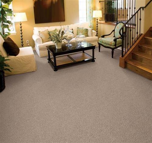 Gallery Image ResistaR_InnerDrivePremier_Carpet.jpg