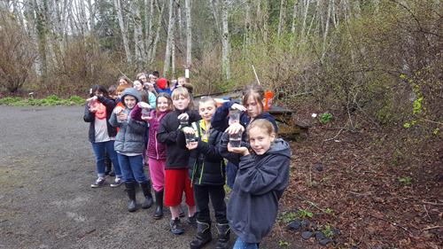 We lead educational programs in classroom and field settings, including Salmon in the Classrom, where Mason County youth raise 250 salmon and release them into local streams.