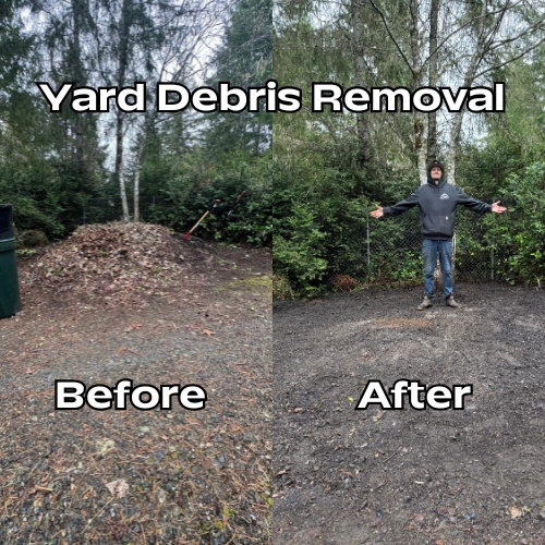 Yard Debris Removal 