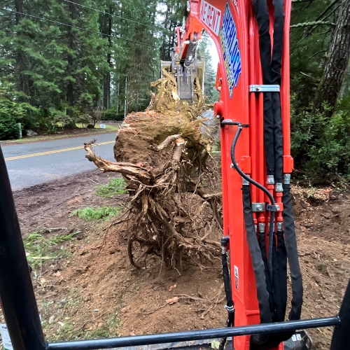 Stump Removal with Excavtor