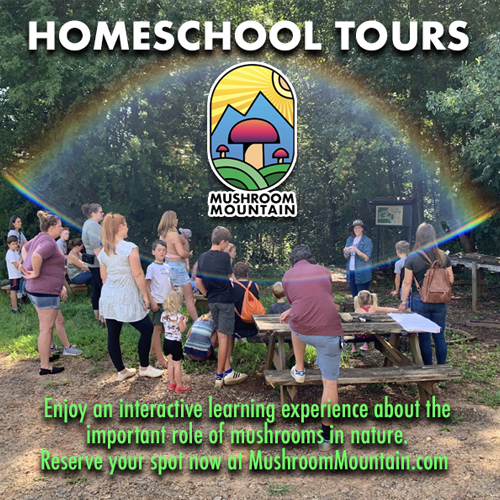 Gallery Image Homeschool.jpg