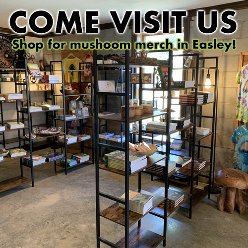 Gallery Image Store.jpg