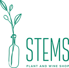 Stems Plant and Wine Shop