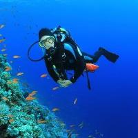 BYP: SCUBA to Success