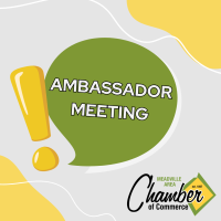 Ambassadors Meeting