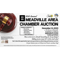 17th Annual Chamber Auction