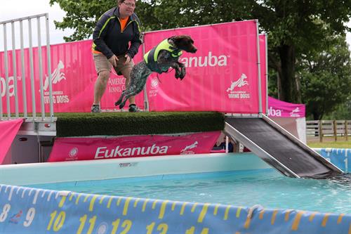 Professional Dock Diving 