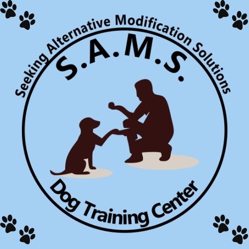 SAMS Logo