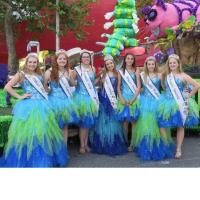 z2017 Fathoms O' Fun Royalty Tea