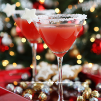 Sleigh Bells & Bids (December 2026)