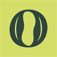 Root & Rise Branding