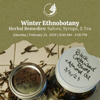Winter Ethnobotany Workshop | Herbal Remedies: Salves, Syrups, and Teas