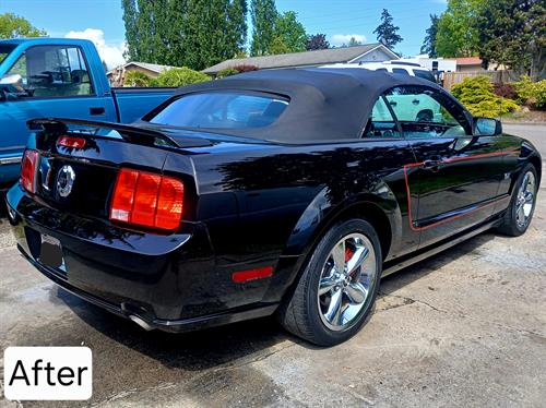 Gallery Image Mustang_after.jpg