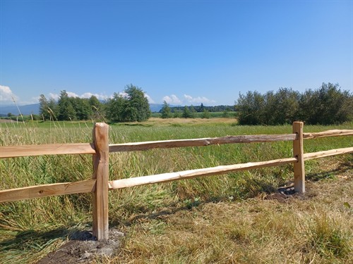 Gallery Image 20240805_143955.jpeg