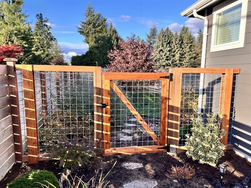 Gallery Image IMG6477545077316151169.jpg