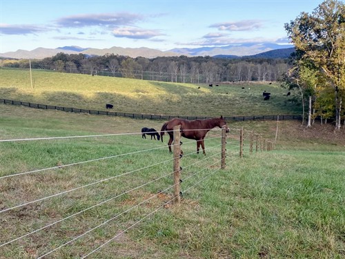 Gallery Image IMG_4687_1000x.jpeg