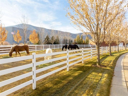 Gallery Image white-4-rail-3-1024x683_2.jpeg