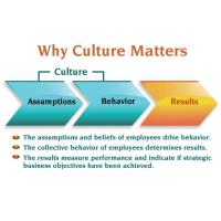 Building a positive Company Culture and Living it